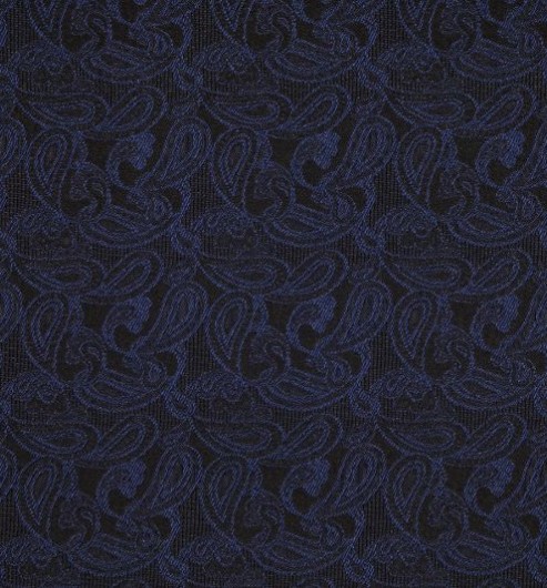 Silk Facing Blue Brocade Paisley