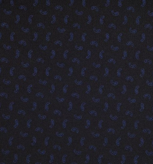 Silk Facing Blue Tadpole Paisley