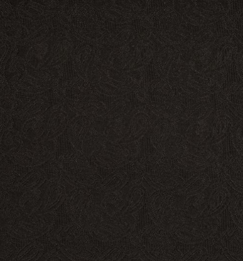 Silk Facing Black Brocade Paisley