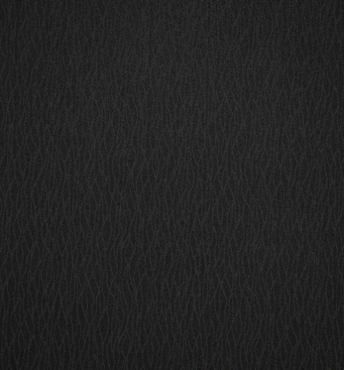 Silk Facing Black Fern