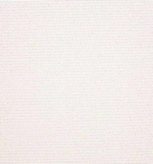 Silk Cord Facing Ivory