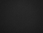 54"/137cms Silk Facing Fern - Black
