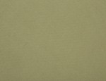 59"/150cm Brushed Cotton Twill - Olive