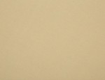 59"/150cm Brushed Cotton Twill - Light Fawn