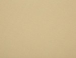 150cm Brushed Cotton Twill - Light Fawn