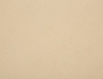150cm Brushed Cotton Twill - Tan