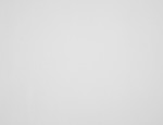 150cm Fine Cotton Twill - White