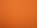 95cm Collar Felt - Rainbow Collection - Orange
