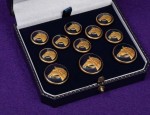 11 Pce Horse Head Enamel Button Set - Blue