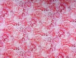 100% Viscose Twill - Peonies