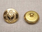 25mm Welsh Guards with QE II Crown Button - Gilt